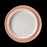 Rio Pink Plate  26cm 10 1/4" Pack 6