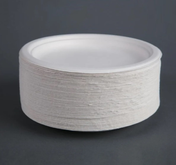 9Inch Bagasse White Plate Pack of 50 9Inch Bagasse White Plate Pack of 50