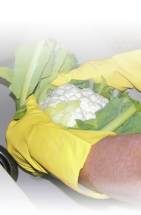 Extra Long Rubber Gloves x 12 Extra Long Rubber Gloves x 12