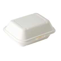 Biodegradable Food Box