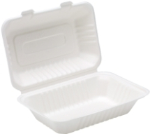 9 x6 inch Bagasse Lunch Box 250 in box
