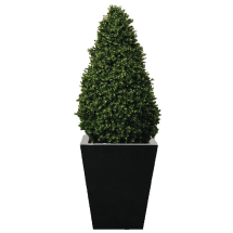 Artificial Topiary Buxus Pyram id 1200mm