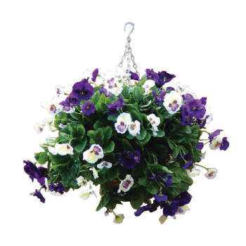 22Inch Purple and White Pansy Bal l