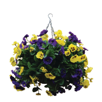 22Inch Purple and Yellow Pansy Ba ll