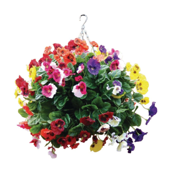 22Inch Mixed Colours Pansy Ball