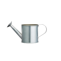 Mini Watering Can Chip Cup