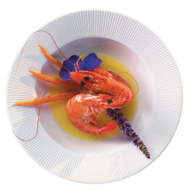 Chef and Sommelier Ginseng Dee p Plates 230mm