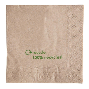 Kraft Lunch Napkins Recycled 3 30 x 330mm