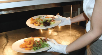 Nylon Serving Gloves - White 1 Pack of 12 Pairs Nylon Serving Gloves - White 1 Pack of 12 Pairs