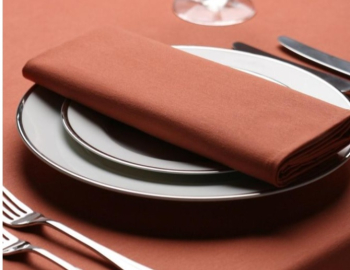 Terracotta Napkins 50x 50cm Terracotta Napkins 50x 50cm