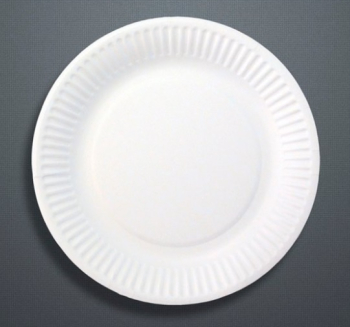 9Inch White Paper Plates Case of 10 x 100 9Inch White Paper Plates Case of 10 x 100