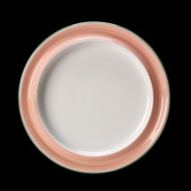 Rio Pink Plate  26cm 10 1/4inch Pack 6