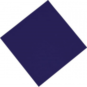 Lunch Napkin Blue 33x33cm 2ply 1/4 Fold (1500 Pack)