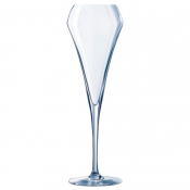 Open Up Champagne Flutes 200ml (24 pack)