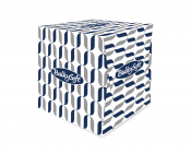 Bulky Cubed Facial Tissues 2ply White - 24 x 70 sheets