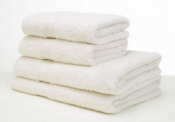 Hand Towel - Cream 480 GSM (Pack of 6)