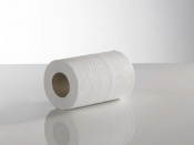 2Ply White Mini Centrefeed 120m x 12 Rolls