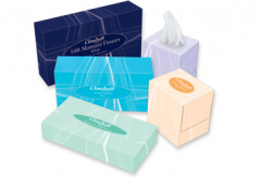 Tissues & Kitchen Roll