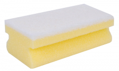 Sponges & Scourers