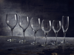 Wine Glasses
